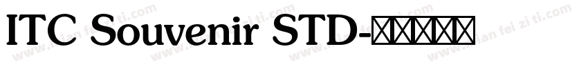 ITC Souvenir STD字体转换